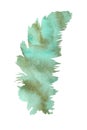 Watercolor illustration. A soft feather filled watercolor background