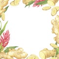 Watercolor illustration of spice ginger, half, leaves and lemon. Hand-drawn frame. Ginger root for food design. Kitchen