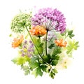 Watercolor illustration of Spices. bunch of parsley with parsley flowers.ai generated