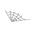 Watercolor illustration, spider web