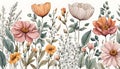 Watercolor illustration of spring flowers on a white background. Set of delicate light orange pink and white flowers with leaves Royalty Free Stock Photo