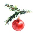 Watercolor illustration of spruce twig with red New Year`s ball on white background. Christmas and New Year hand painted Royalty Free Stock Photo