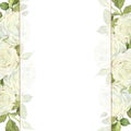 Watercolor illustration. Square frame with white roses with translucent veil and gold edging. Place for inscription or