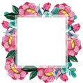 Watercolor illustration. square peony frame.