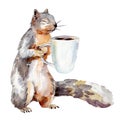 Watercolor illustration of squirrel with cup of coffee, isolate. Royalty Free Stock Photo
