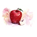 Watercolor illustration of still life with a beautiful ripe red apple on white background