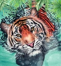 Watercolor illustration of a striped tiger swimming in the water