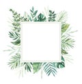 Watercolor illustration. Summer tropical label. Tropical palm leaves monstera, areca, fan, banana. Royalty Free Stock Photo
