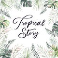 Watercolor illustration. Summer tropical story postcard with pal Royalty Free Stock Photo