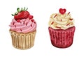 Watercolor illustration of sweet and tasty cupcakes with cream Delicious food illustration.