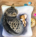 Watercolor illustration of a tabby gray-brown cat on a pillow