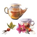 watercolor illustration, teapot and cup decorated with pink dog rose flowers and red berries. Royalty Free Stock Photo