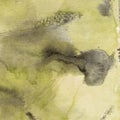 Watercolor illustration. Texture. Watercolor transparent stain. Blur, spray. Ocher and gray
