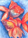 Watercolor illustration of three goldfish on a blue background