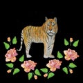 Watercolor.Illustration of a tiger in roses on a black background. Royalty Free Stock Photo