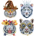 Set of tiger portraits. Wild animal watercolor illustration on white background