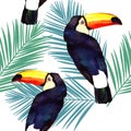 Watercolor illustration of toucan and palm leaf seamless pattern on white background Royalty Free Stock Photo