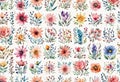 Watercolor illustration of trendy floral icon set, vintage style flowers on isolated background, Royalty Free Stock Photo