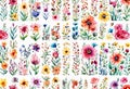 Watercolor illustration of trendy floral icon set, vintage style flowers on isolated background, Royalty Free Stock Photo