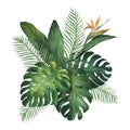 Watercolor illustration of tropical bouquet with monstera,flower and palm leaves. Green tropical plant, hand drawn