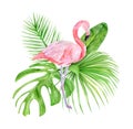 Watercolor illustration tropical exotic bird pink flamingo. Perfect as background texture, wrapping paper, textile or wallpaper