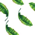 Watercolor illustration of tropical leaves. Seamless. For posters