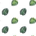 Watercolor illustration of tropical mostera leaves. Seamless pattern for children's wallpaper. Green tropical plants