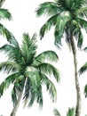 Watercolor illustration of a tropical palm tree pattern. Royalty Free Stock Photo