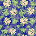 Watercolor illustration, tropical pattern with monstera leaves and plumeria flowers seamless background Royalty Free Stock Photo