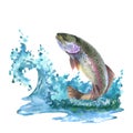 Watercolor illustration, a trout jumps out of the water. Composition perch and wave with water splash isolated on white Royalty Free Stock Photo