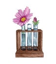 Watercolor illustration of tube rack with single pink flower. Spring wildflower