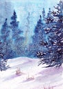 Watercolor illustration of a twilight winter forest with tall spruce trees covered with snow