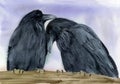 Watercolor illustration of two black ravens or crows