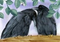 Watercolor illustration of two black ravens or crows fawning over each other Royalty Free Stock Photo
