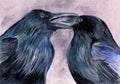 Watercolor illustration of two black ravens or crows