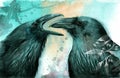 Watercolor illustration of two black ravens Royalty Free Stock Photo