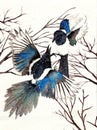 Watercolor illustration of two black and turquoise magpies Royalty Free Stock Photo