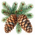 Watercolor Illustration of Two Brown Pinecones with Green Needles on White Background Royalty Free Stock Photo