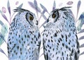 Watercolor illustration of two cute owls with spotted grey-black feathers
