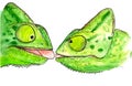 Watercolor illustration of two green chameleons