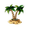 Watercolor illustration two palm trees with coconuts on a sandy island. Royalty Free Stock Photo