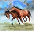 Watercolor illustration of two running playful brown horses Royalty Free Stock Photo