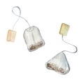 Watercolor illustration of two tea bags on a white isolated background. Contemporary art Royalty Free Stock Photo