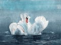 Watercolor illustration of two white swans Royalty Free Stock Photo