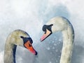 Watercolor illustration of two white swans on a white background. Bird illustration Royalty Free Stock Photo