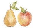 Watercolor illustration with vintage yellow pear and red apple. Isolated on white background. Royalty Free Stock Photo