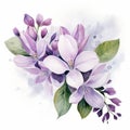 Lilac Watercolor Painting: Purple Flowers On White Background Royalty Free Stock Photo