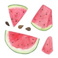 Watercolor illustration of a watermelon slices set on the white background, sweet red juicy fruit, healthy and organic diet simple Royalty Free Stock Photo