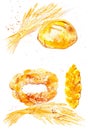 Watercolor illustration of wheat ears, different buns and bread among abstract drops of grains. Isolated on white background Royalty Free Stock Photo