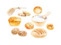 Watercolor illustration of wheat ears, various buns, bread and sour cream in a bowl . Isolated on white background